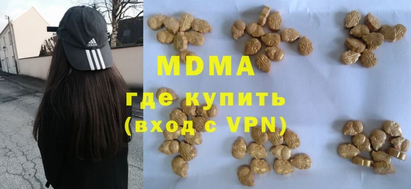 apvp Ельня