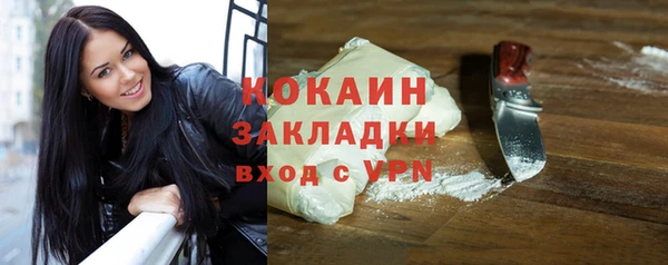 apvp Ельня