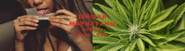 apvp Ельня