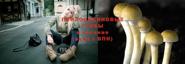 синтетический гашиш Елизово