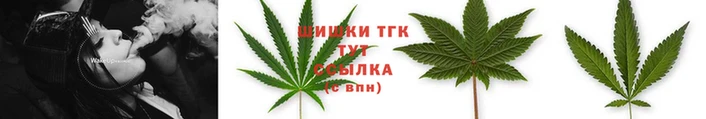 apvp Ельня
