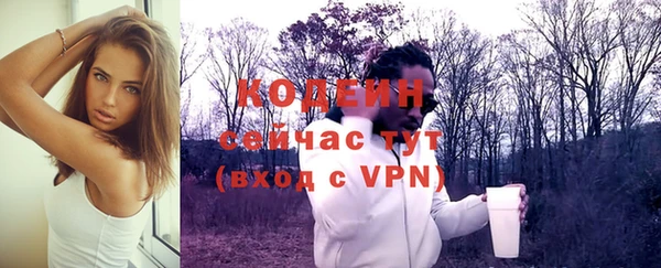 apvp Ельня