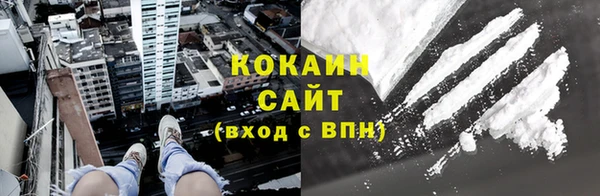 apvp Ельня