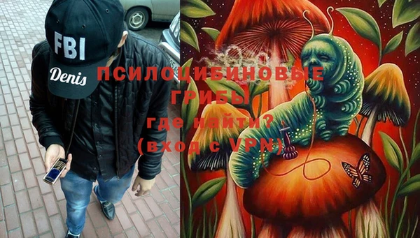 синтетический гашиш Елизово