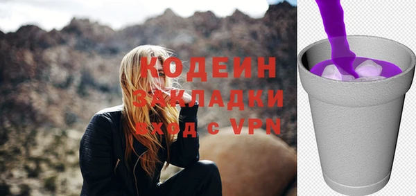 apvp Ельня