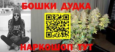 тгк Гатчина
