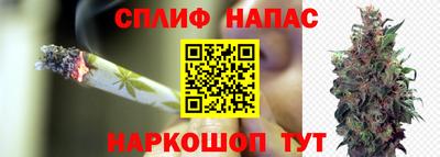 стаф Гагарин