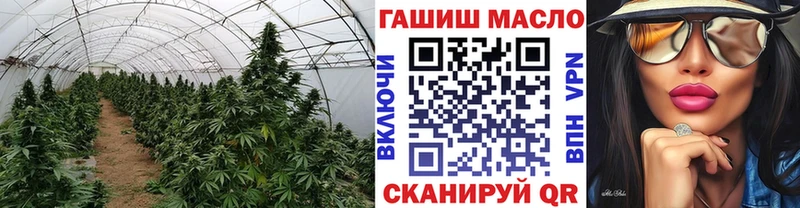как найти закладки  Владимир  ТГК вейп 