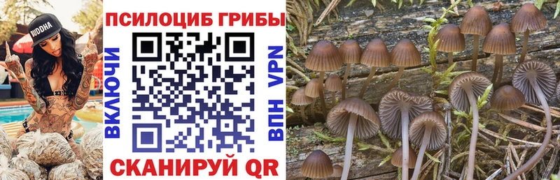 hydra сайт  наркотики  Владимир  Псилоцибиновые грибы прущие грибы 