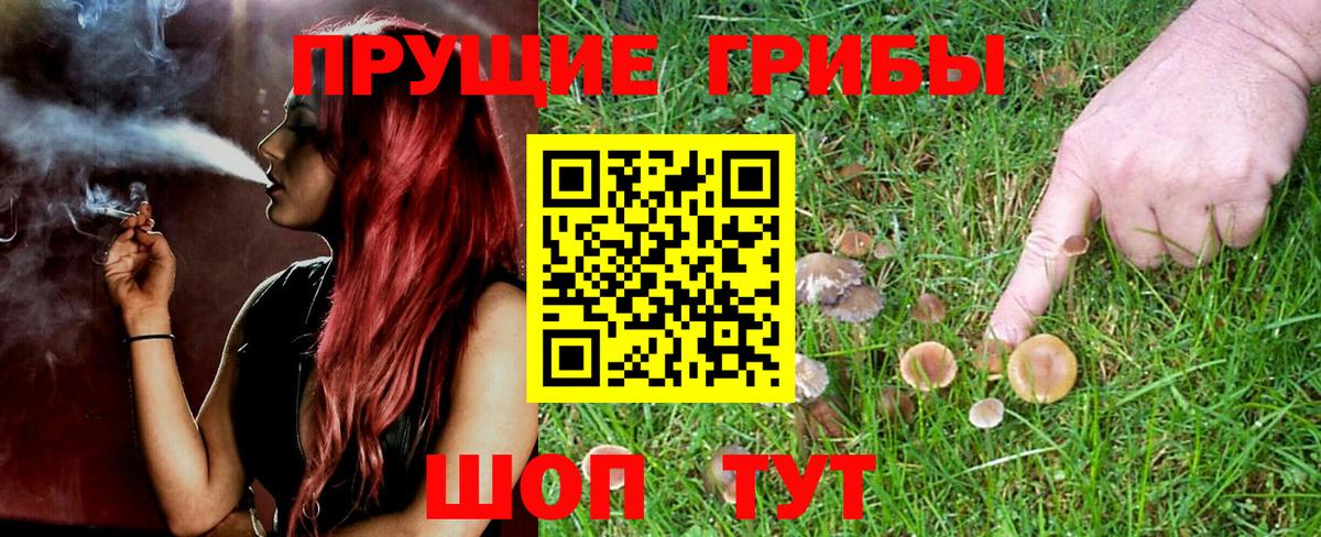 наркотики  Галлюциногенные грибы Psilocybine cubensis  Вход с VPN  Владимир 