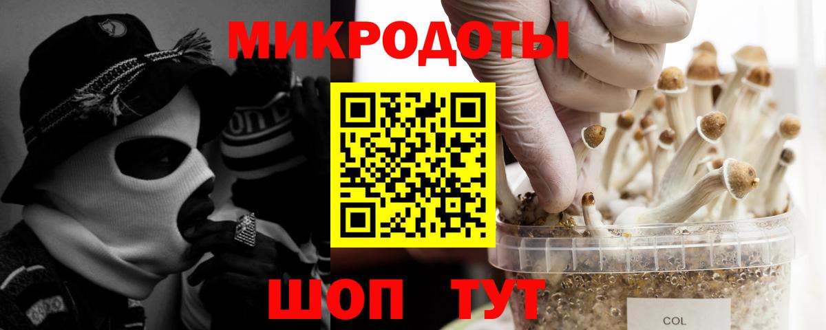 Псилоцибиновые грибы Psilocybe  наркотики  Владимир 